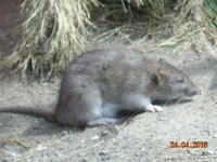 DSCN6863.JPG