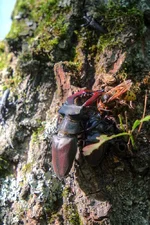 DSCF2951.webp