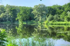 DSCF2977.webp