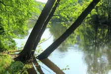 DSCF2986.webp