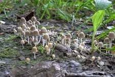 DSCF3008.webp