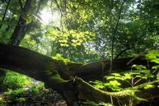 DSCF3032.webp