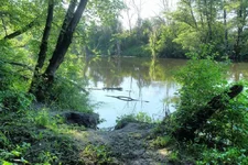 DSCF3035.webp
