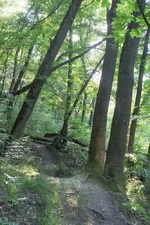DSCF3038.webp