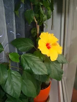 DSC09137.webp