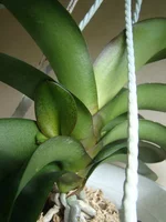 DSC09910.webp