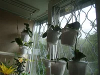DSC09912.webp