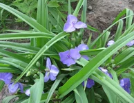 1-IMG_1554.webp
