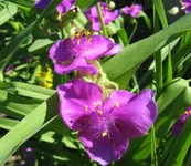 1-IMG_1618.webp