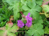 1-IMG_1562.webp