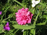 1-IMG_1600.webp