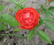1-IMG_1670.webp