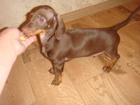 DSC02594.jpg