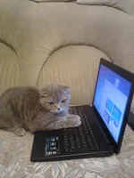 0043.webp
