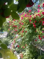 LVh9Y82bXgc.webp
