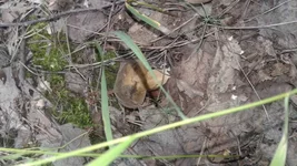 20160607_141057.jpg