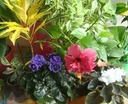 DSC09943_.webp