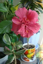 DSC09962_.webp