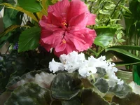 DSC09952.webp