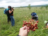 P1016750.webp