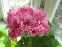 ramdisk-crop_153509443_kqu4YGU.webp