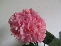 ramdisk-crop_153510020_HP2P4.webp