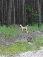 IMG_20160612_191950.webp