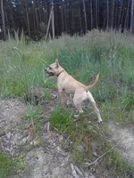 IMG_20160612_192348.webp
