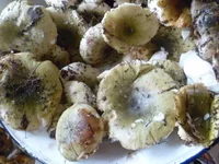 P1070795_resize.webp