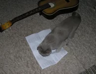  там, как там поется....webp