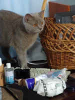  на свадьбе2.webp