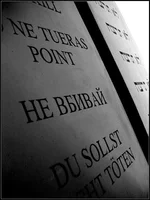 .webp