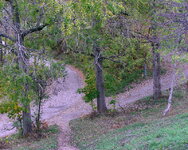 PA142188_800.jpg