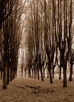 Img2006-10-07-0025_.webp Img2006-10-07-0025_.webp