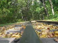 Autumn.webp
