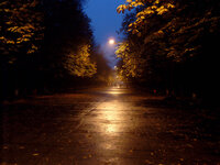 P4100002_3.jpg
