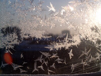 winter_morning_1.jpg