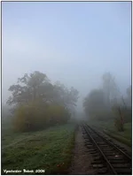  туман.webp