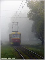  7-ка.webp