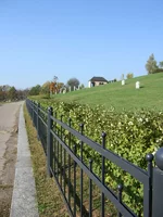 06_10_21 034.webp