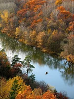 IMG_5231_2.webp