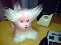  1_edited.webp