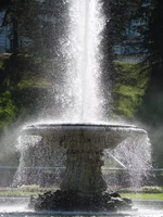  DSC00764.webp