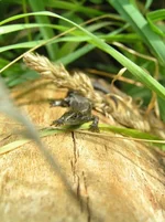 P8032051_resize.webp