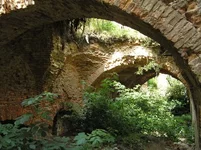 P8032054_resize.JPG