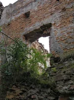 P8032095_resize.webp