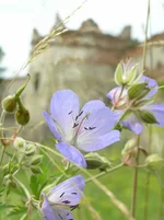 P8032099_resize.webp