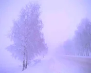 .webp