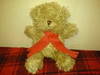 DSC00195.webp