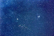 leonidstarfield_buttnor.webp